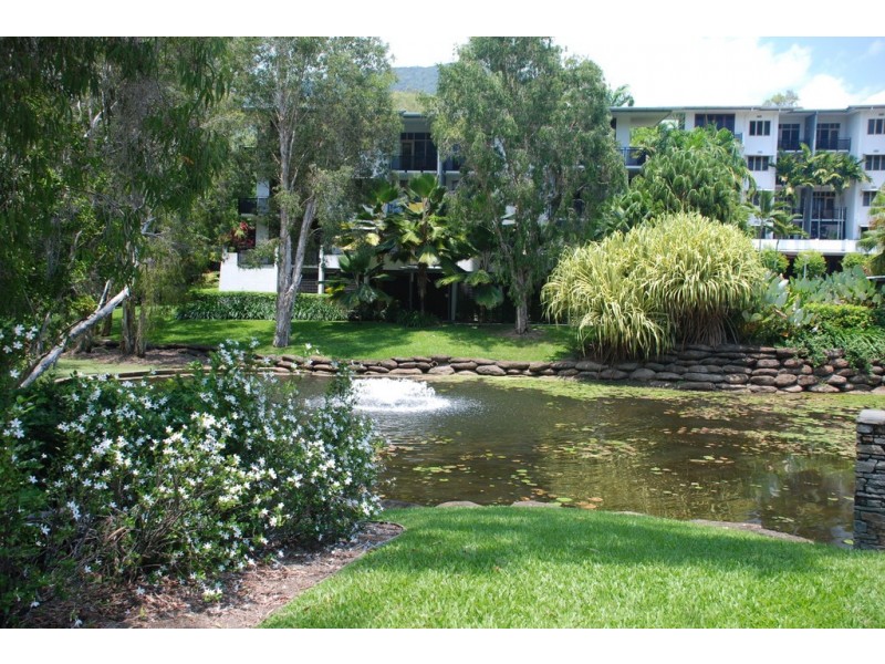 19/6 Cedar Road, Palm Cove QLD 4879