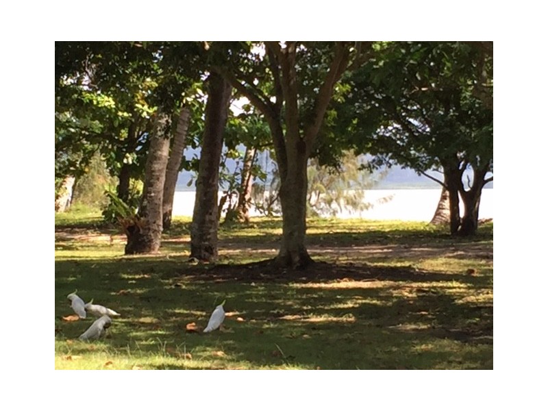 10 Sandpiper Street, East Trinity QLD 4871