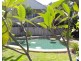 11/34-40 Lily Street, Cairns North QLD 4870