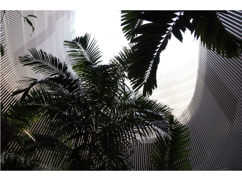 55/1 Marlin Parade, Cairns City QLD 4870