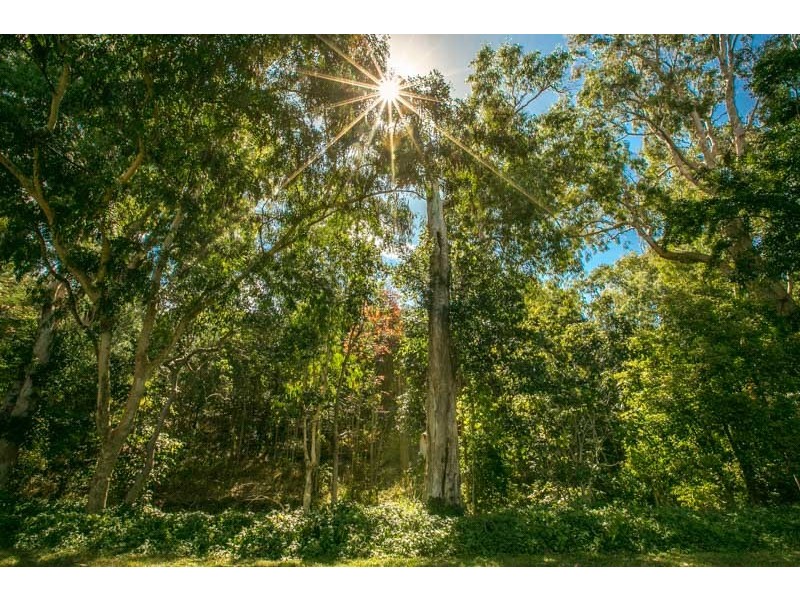 125-127 James Cook Drive, Kewarra Beach QLD 4879