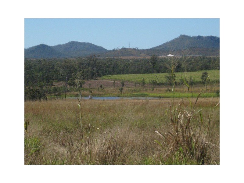 1283 Springmount Road, Arriga QLD 4880