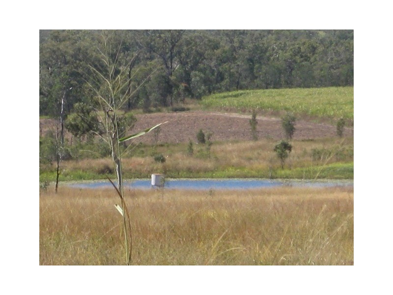 1283 Springmount Road, Arriga QLD 4880