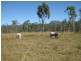 1283 Springmount Road, Arriga QLD 4880
