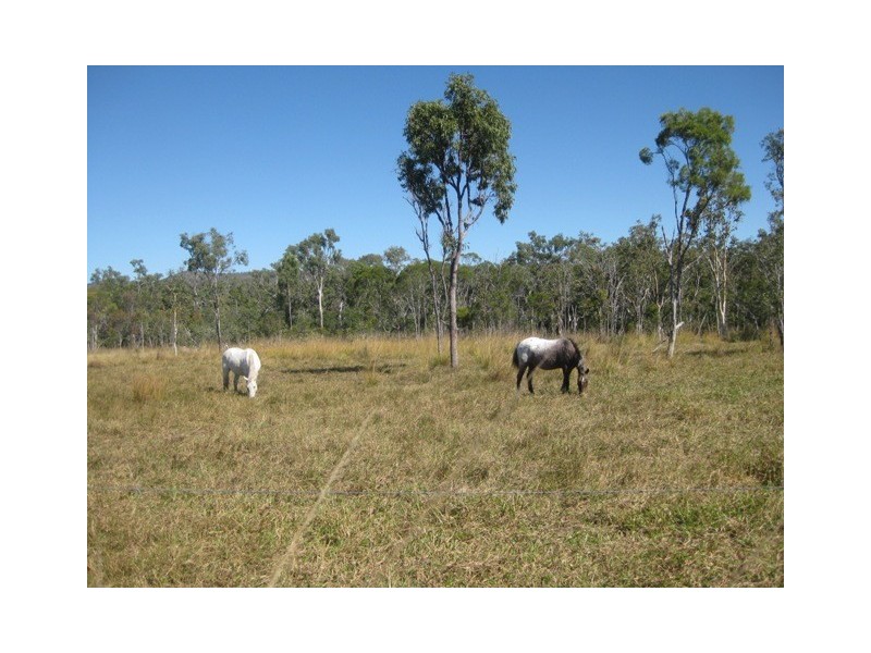 1283 Springmount Road, Arriga QLD 4880