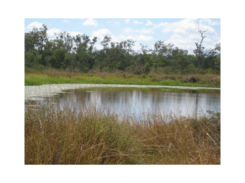 1283 Springmount Road, Arriga QLD 4880