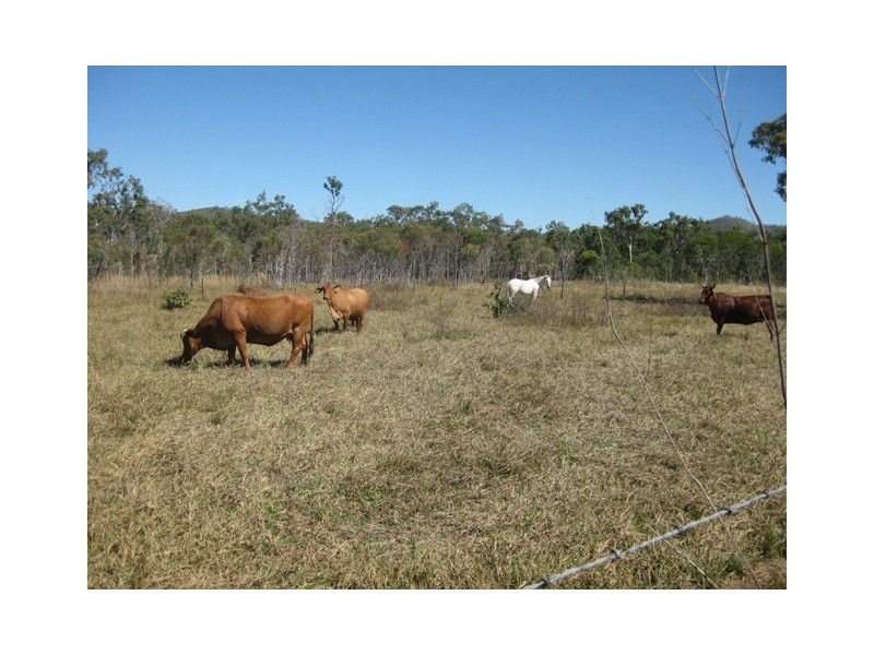 1283 Springmount Road, Arriga QLD 4880