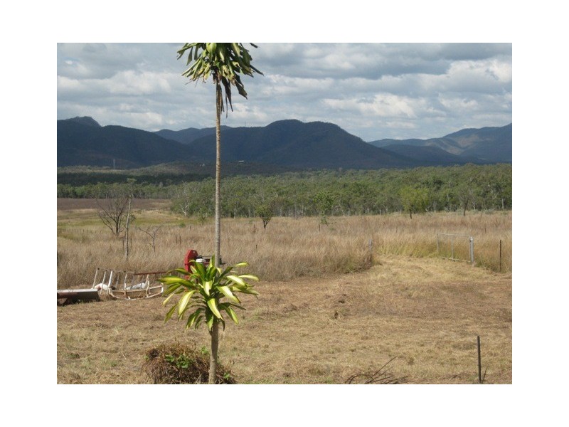 1283 Springmount Road, Arriga QLD 4880