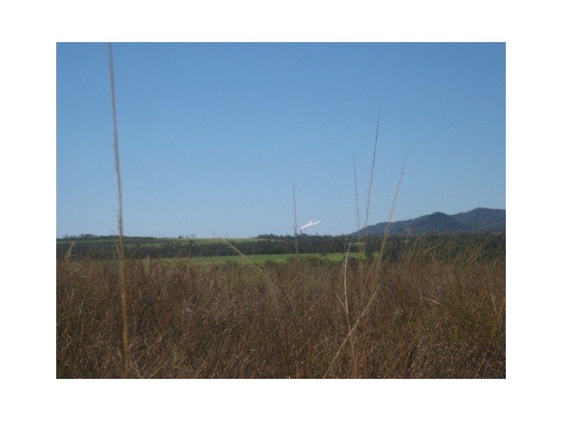 1283 Springmount Road, Arriga QLD 4880