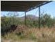 1283 Springmount Road, Arriga QLD 4880