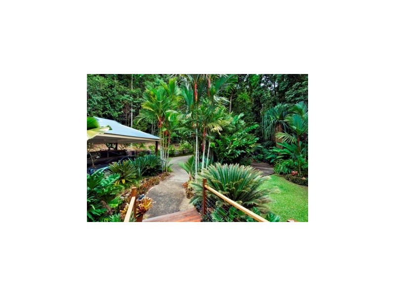 10 Rainforest Road, Edmonton QLD 4869