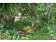 21 Goodsell Drive, Bentley Park QLD 4869
