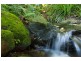 Cairns QLD 4870