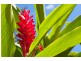 Cairns QLD 4870