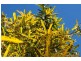 Cairns QLD 4870