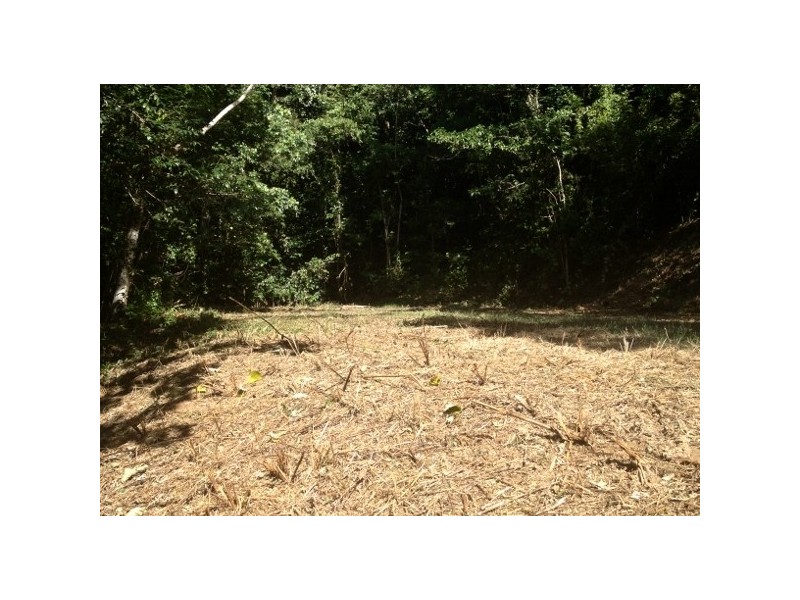 46 Cascades Drive, Redlynch QLD 4870