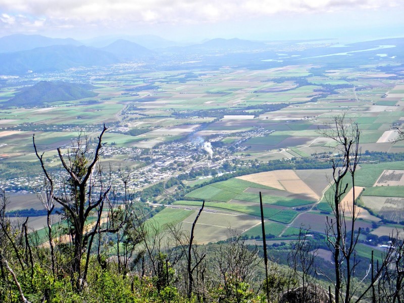 6 Radford Close, Gordonvale QLD 4865