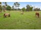 127 Redbank Road, Gordonvale QLD 4865
