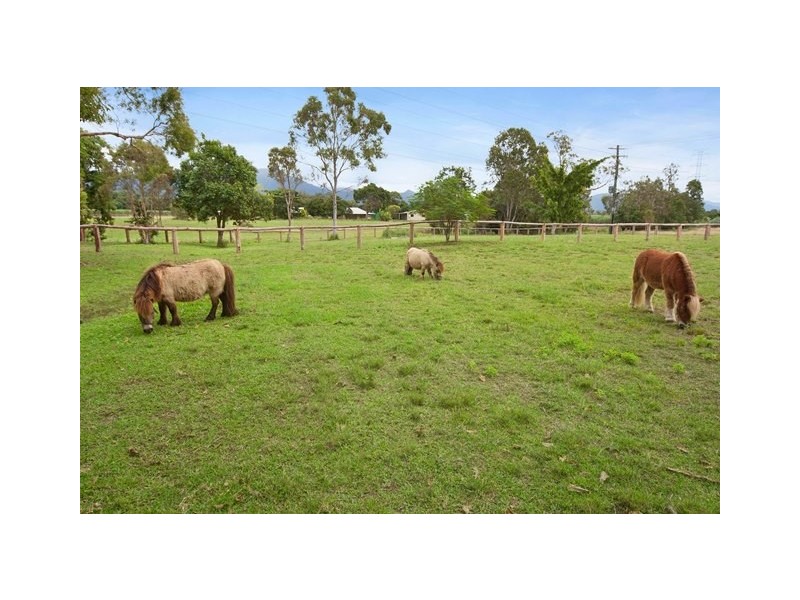 127 Redbank Road, Gordonvale QLD 4865