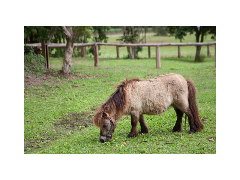 127 Redbank Road, Gordonvale QLD 4865