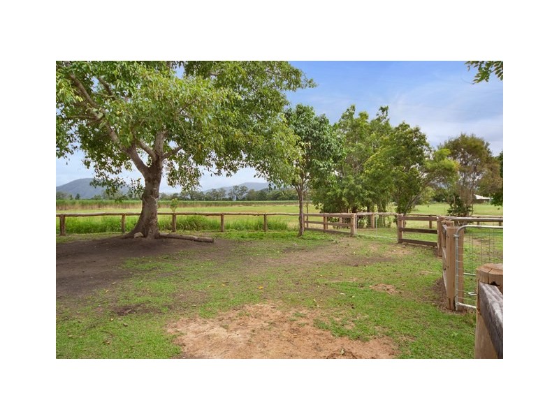 127 Redbank Road, Gordonvale QLD 4865