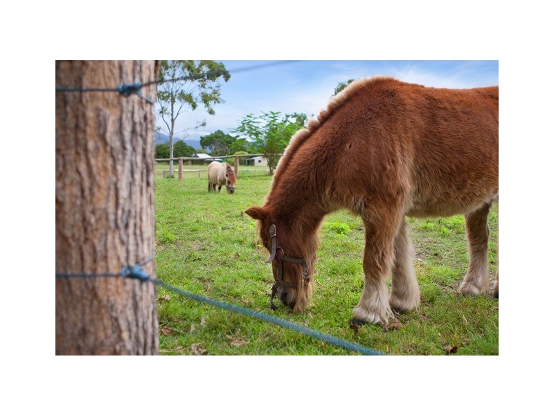 127 Redbank Road, Gordonvale QLD 4865