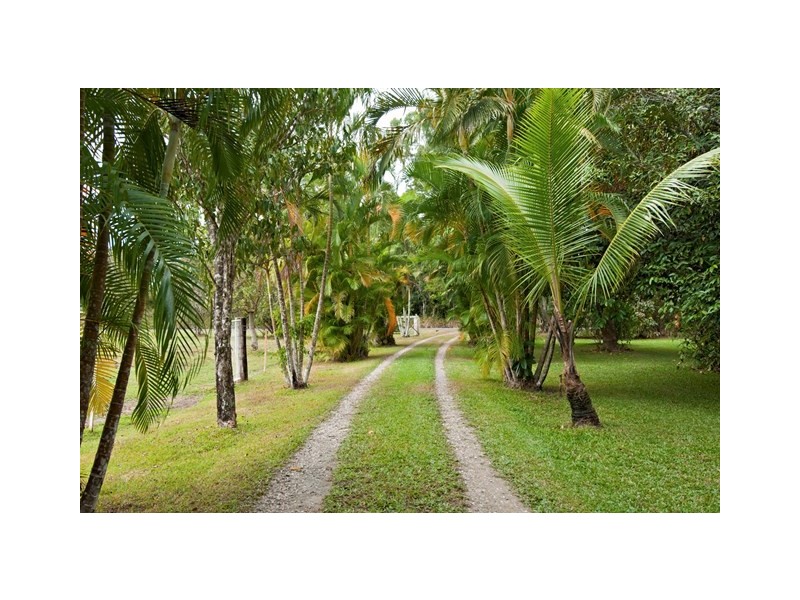 127 Redbank Road, Gordonvale QLD 4865