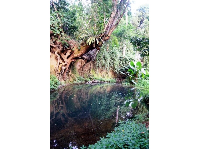 3 Mulindie Close, Edmonton QLD 4869