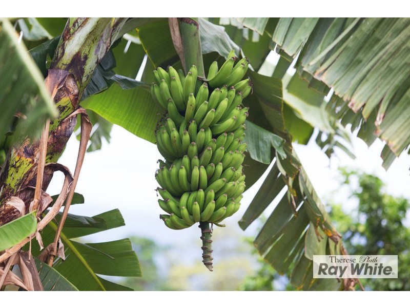 Goldsborough QLD 4865