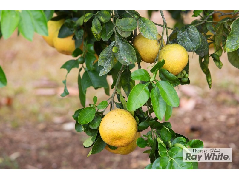 Goldsborough QLD 4865