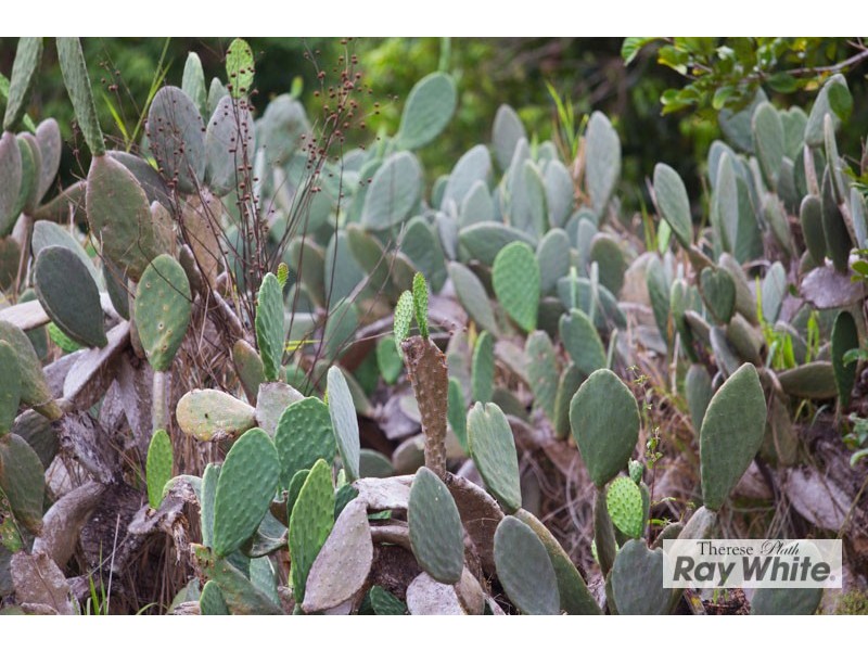 Goldsborough QLD 4865