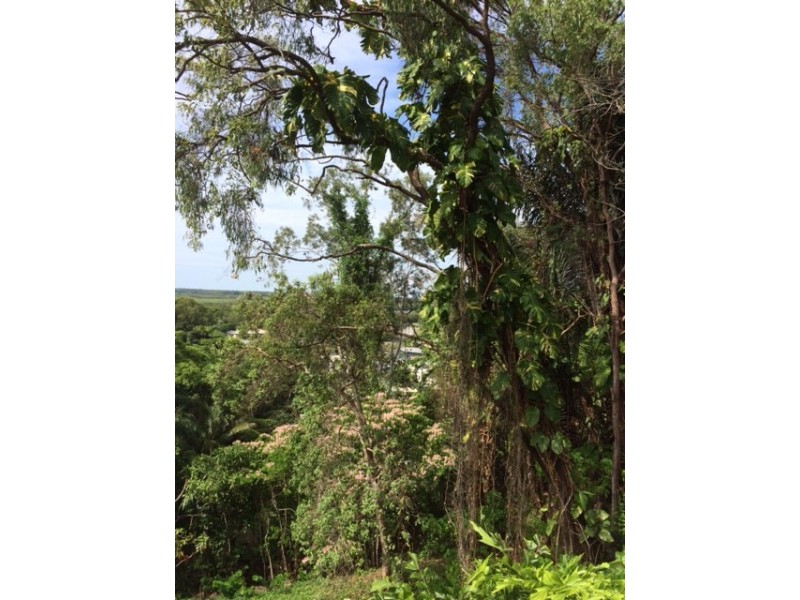 24 Behan Street, Stratford QLD 4870
