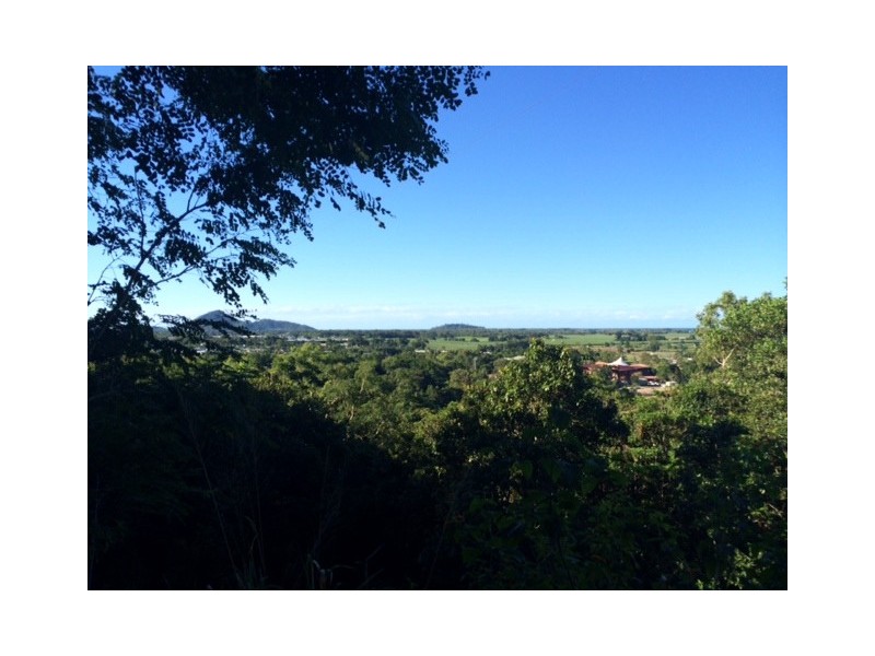 109 Fig Tree Drive, Caravonica QLD 4878