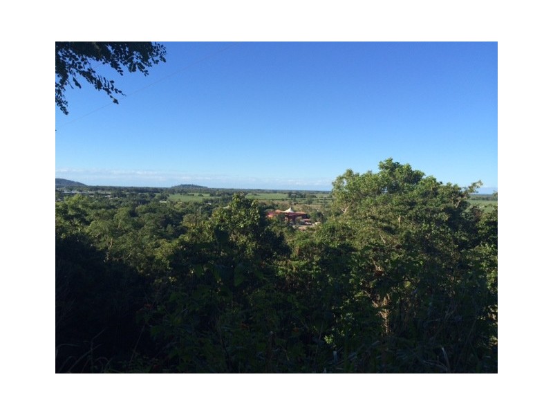 109 Fig Tree Drive, Caravonica QLD 4878