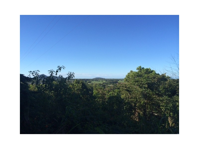 109 Fig Tree Drive, Caravonica QLD 4878