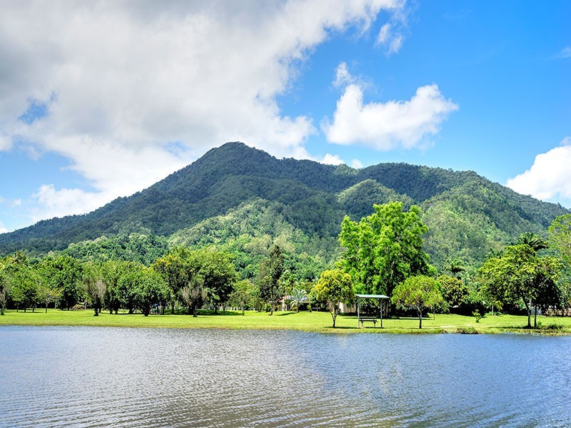 Unit 10/31 Lake Placid Road, Caravonica QLD 4878