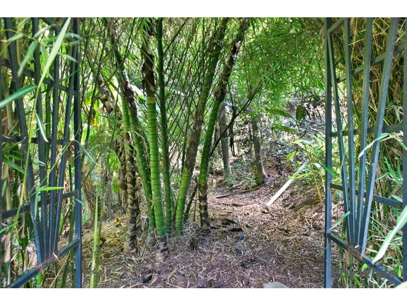 73-75 Golden Street, Goldsborough QLD 4865