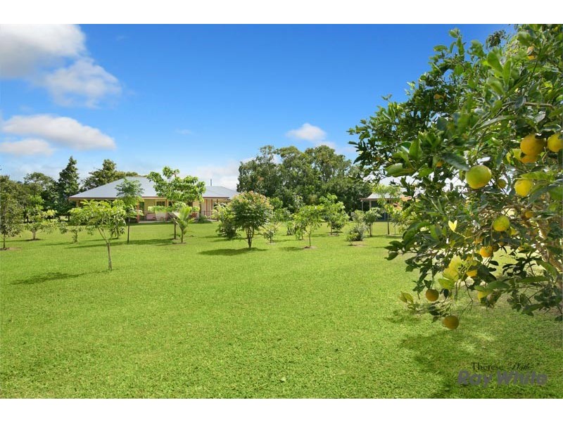 Lot 1 Gray Road (Cnr Brown Rd and Phillip Gray Rd), Green Hill QLD 4865