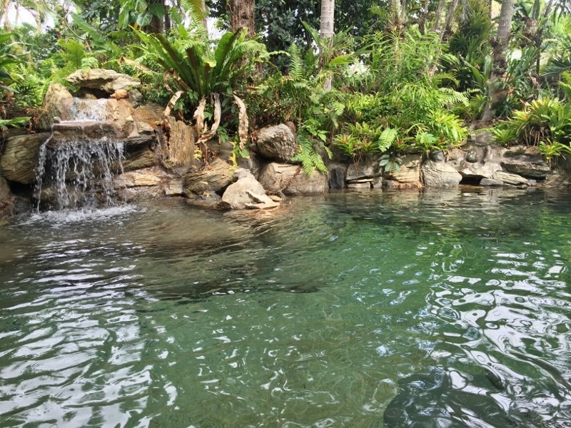 90 Charles Street, Manunda QLD 4870