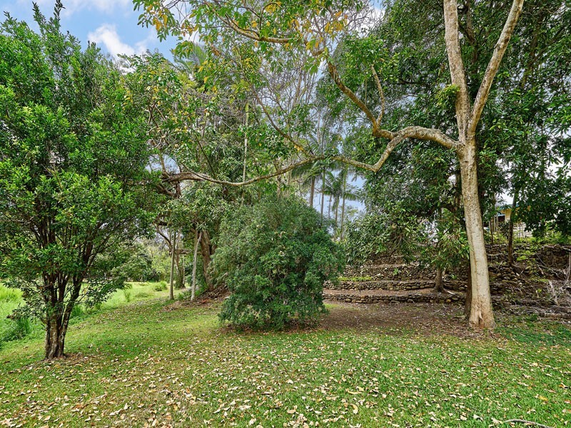 12 Langan Street, Earlville QLD 4870