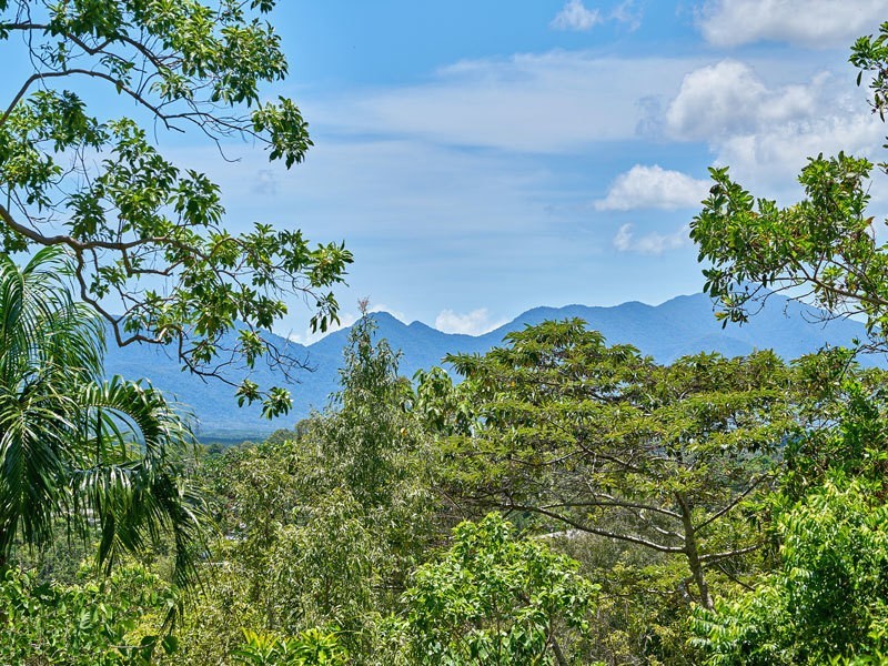 49 Granadilla Drive, Earlville QLD 4870