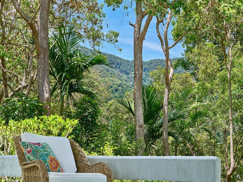 49 Granadilla Drive, Earlville QLD 4870