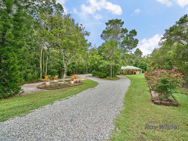 Lot 2 Palamino Court, Little Mulgrave QLD 4865