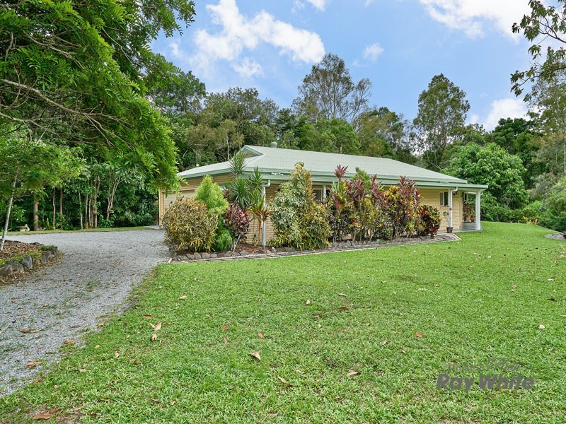 Lot 2 Palamino Court, Little Mulgrave QLD 4865
