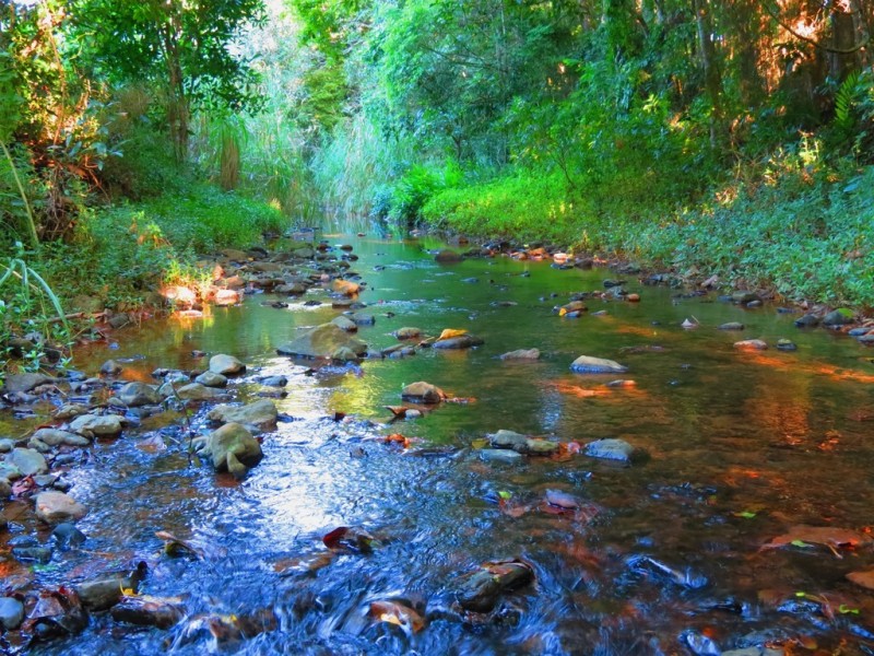 55 Archibald Street, Edmonton QLD 4869