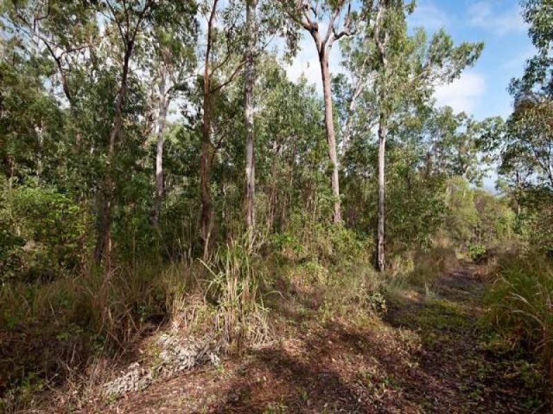 75 Pine Creek Road, East Trinity QLD 4871