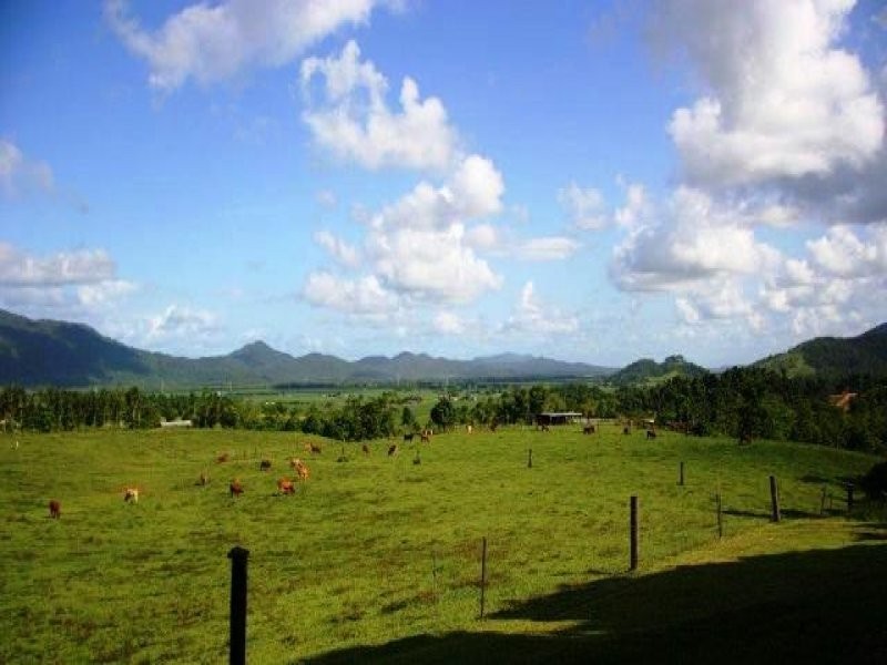 Bellenden Ker QLD 4871