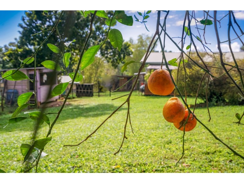13-15 Fisher Road, Gordonvale QLD 4865
