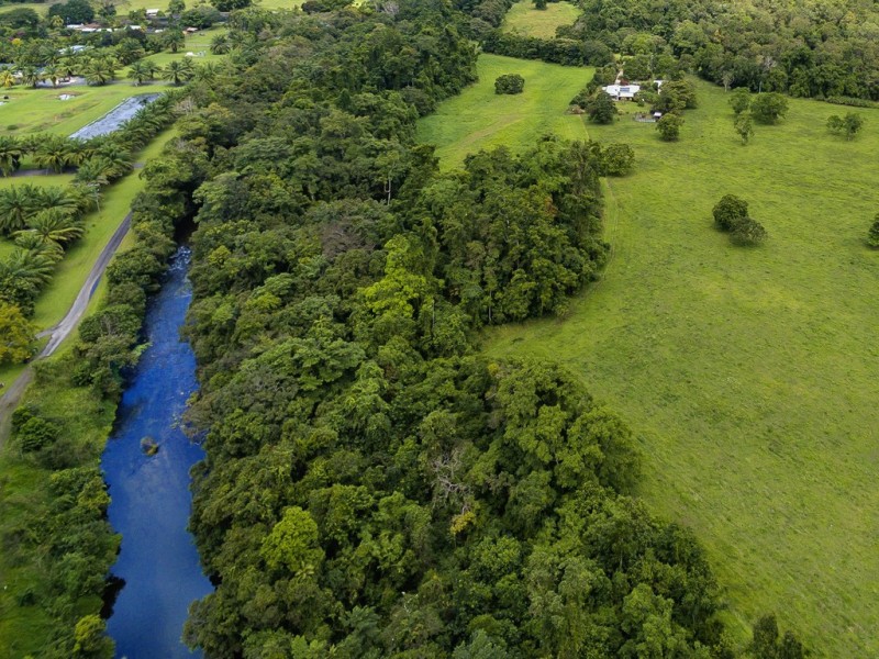 Little Mulgrave QLD 4865