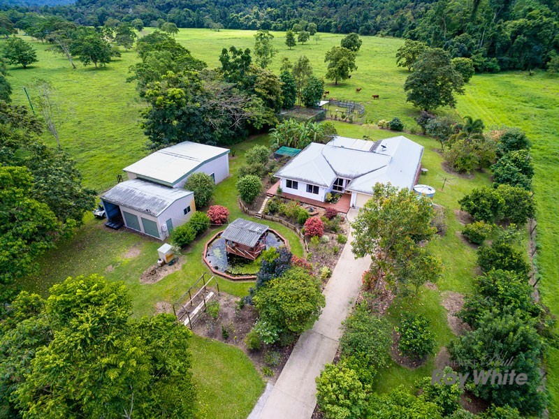 Little Mulgrave QLD 4865